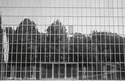 Reflection of Central Park Reflection%20of%20Central%20Park (thumbnail)