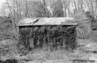 Back%20to%20Nature (thumbnail)
