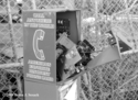 Discount Phone Card Discount%20Phone%20Card (thumbnail)