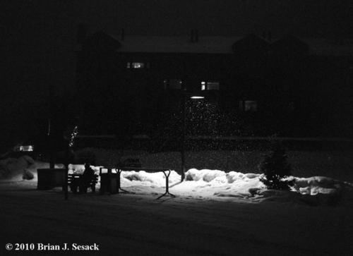 Bus%20Stop (large view)
