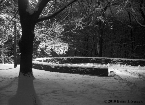 Frick%20Park (large view)