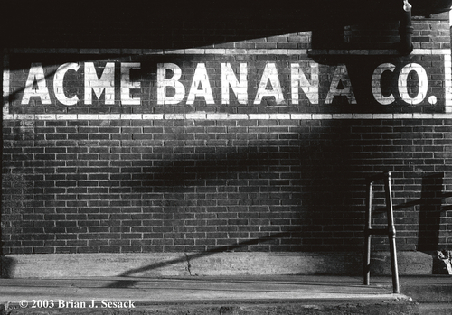 Acme%20Banana (large view)