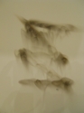Lori Love Penland - Non-representational Mixed Media abstract, carbon, mixed media, paper - Non-representational Mixed Media