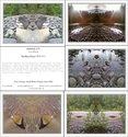 %22The%20Mirror%20Project%22%3A%20Sandy%20River%20No.%206%3A%20Set%2010%20Notecards (thumbnail)