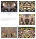%22The%20Mirror%20Project%22%3A%20%20Hearts%20No.%201%20Set%20of%2010%20Notecards (thumbnail)