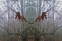 Mirror 112 Mirror%20112 (thumbnail)