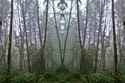 Mirror 114 Mirror%20114 (thumbnail)