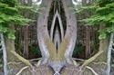 Mirror%20117 (thumbnail)