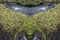 Mirror%20118 (thumbnail)