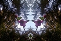 Mirror%20119 (thumbnail)
