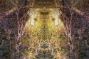 Mirror%20122 (thumbnail)
