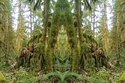 Mirror%20125 (thumbnail)