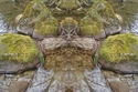 Mirror 129 Mirror%20129 (thumbnail)