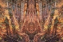 Mirror%20131 (thumbnail)