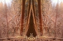 Mirror%20132 (thumbnail)