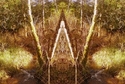 Mirror%20142 (thumbnail)