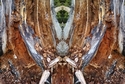Mirror%20145 (thumbnail)