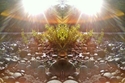 Mirror 166 Mirror%20166 (thumbnail)