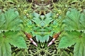 Mirror%20175 (thumbnail)
