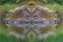 Mirror%20206 (thumbnail)
