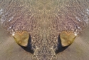 Mirror 221 Mirror%20221 (thumbnail)