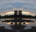 Mirror 222 Mirror%20222 (thumbnail)