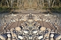 Mirror 224 Mirror%20224 (thumbnail)