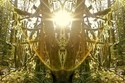 Mirror%20228 (thumbnail)