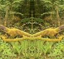 Mirror%20235 (thumbnail)