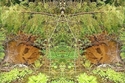 Mirror%20236 (thumbnail)