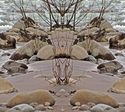 Mirror 239 Mirror%20239 (thumbnail)