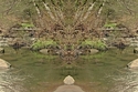 Mirror 242 Mirror%20242 (thumbnail)