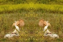 Mirror%20250 (thumbnail)