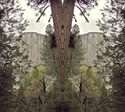 Mirror%20259 (thumbnail)