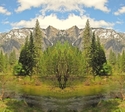 Mirror%20269 (thumbnail)