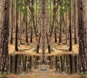 Mirror%20274 (thumbnail)