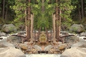 Mirror%20290 (thumbnail)