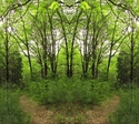 Mirror%20297 (thumbnail)