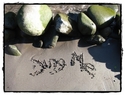 SandWords%200005%3A%20%22Sing%20Me%22 (thumbnail)