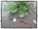 SandWords%200009%3A%20At%20Your%20Will (thumbnail)