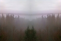 Mirror 003 Mirror%20003 (thumbnail)