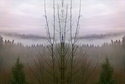 Mirror 004 Mirror%20004 (thumbnail)