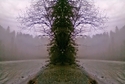 Mirror 006 Mirror%20006 (thumbnail)