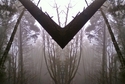 Mirror 009 Mirror%20009 (thumbnail)