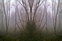 Mirror 010 Mirror%20010 (thumbnail)