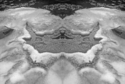 Mirror 019 Mirror%20019 (thumbnail)