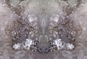 Mirror 021 Mirror%20021 (thumbnail)