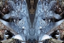 Mirror 039 Mirror%20039 (thumbnail)