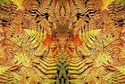 Mirror%20041 (thumbnail)