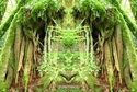 Mirror%20059 (thumbnail)